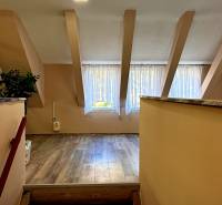 Interiér budovy s podlahou s dřevěným dekorem, velkým oknem a rostlinou.