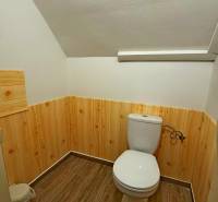 Koupelna s dřevěným obkladem, sanitou a podlahou s dřevěným dekorem, zrcadlo na stěně.