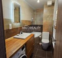 Koupelna v 2-pokojovém bytě se sprchovým koutem a podlahou s dřevěným dekorem.