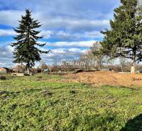 Zeleň a stromy na pozemcích - bydlení v Ondřejovicích pod modrou oblohou.