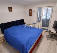 Ložnice s postelí, televizí, podlahou s dřevěným dekorem a balkonovými dveřmi v rodinném domě.