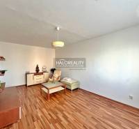 Obývací pokoj ve 3-pokojovém bytě s podlahou s dřevěným dekorem, minimalismus, světlé stěny, nábytek.