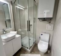 Koupelna v 2-pokojovém bytě s moderním sprchovým koutem a umyvadlem.