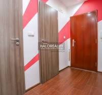 Předsíň ve 3-pokojovém bytě s podlahou s dřevěným dekorem a barevnou stěnou.