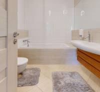 Koupelna v bytě s 5 a více pokoji s vanou, umyvadlem a dlažbou.