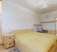 Ložnice v bytě s 5 a více pokoji s postelí, skříní a podlahou s dřevěným dekorem.