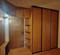 Vstupní hala s podlahou s dřevěným dekorem, prostornými skříněmi a věšáky ve 3pokojovém bytě.