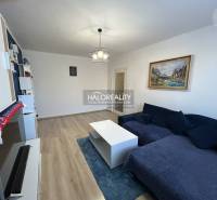 Obývací pokoj v 2-pokojovém bytě s podlahou s dřevěným dekorem a rozkládací pohovkou.