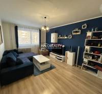 Obývací pokoj s tmavomodrou stěnou, sedačkou, podlahou s dřevěným dekorem a nábytkem v 2pokojovém bytě.