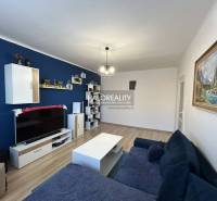 Světlý obývací pokoj v 2-pokojovém bytě, modrá stěna, sedačka, TV a podlaha s dřevěným dekorem.