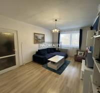 Obývací pokoj v 2-pokojovém bytě s podlahou s dřevěným dekorem a pohodlnou sedačkou.