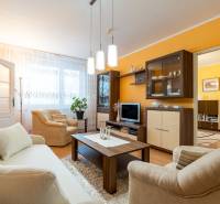 Obývací pokoj ve 4-pokojovém bytě s pohovkou, křesly a podlahou s dřevěným dekorem.