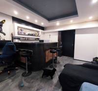 Pokoj v rodinném domě s barovým pultem, počítačovým stolem a dvěma kočkami.