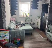 Obývací pokoj se zelenou sedačkou, hračkami, rostlinami a stěnami s kamenným obkladem ve 4pokojovém bytě.