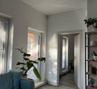 Světlý obývací pokoj s rostlinami, pohovkou a podlahou s dřevěným dekorem ve 4pokojovém bytě.