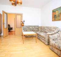 Obývací pokoj třípokojového bytu s pohovkou, stolem a podlahou s dřevěným dekorem.