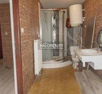 Koupelna v obchodních prostorách s dřevěným dekorem na stěnách a sprchovým koutem.