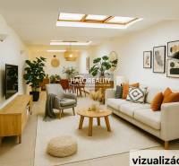 Světlý obchodní prostor s pohovkou, rostlinami a dekoracemi na stěnách.