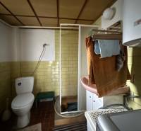 Koupelna v rodinném domě s toaletou, sprchovým koutem a umyvadlem.