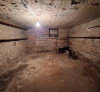 Sklep s neomítnutými cihlovými stěnami a betonovým stropem v rodinném domě.