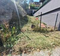 Ohraničený svah v Rodinném domě na Búdkové v Bratislavě - Staré Město s vegetací.