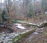 Zahrada u rodinného domu na Búdkové v Bratislavě - Staré Město, s rozbitým plotem a stromy.