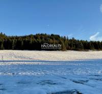Sněhem pokryté pozemky na bydlení v Dolní Lehotě obklopené lesem a modrou oblohou.