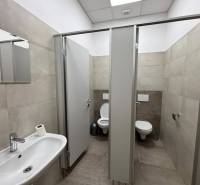 Kancelářské toalety s umyvadlem a kabinkami, podlaha s dřevěným dekorem.