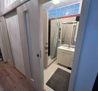 Koupelna v 1-pokojovém bytě s umyvadlem, sprchovým koutem a podlahou s dřevěným dekorem.