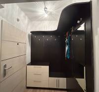 Vstupní hala s praktickým nábytkovým řešením v 1-pokojovém bytě s podlahou s dřevěným dekorem.