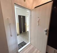 Vstupní dveře s dekorativním přívěskem a podlahou s dřevěným dekorem v 1-pokojovém bytě.