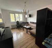 Obývací pokoj v jednopokojovém bytě s pohovkou, stolkem a podlahou s dřevěným dekorem.