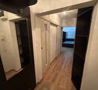 Interiér 1-pokojového bytu s podlahou s dřevěným dekorem, zrcadlem a úložnými prostory.