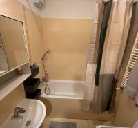 Koupelna v 2-pokojovém bytě s vanou, umyvadlem, pračkou a dlažbou.