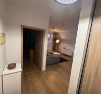 Chodba v 2-pokojovém bytě s podlahou s dřevěným dekorem, vedoucí do obývacího pokoje.