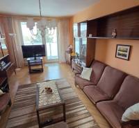 Obývací pokoj v 3-pokojovém bytě s pohovkami, skříněmi a podlahou s dřevěným dekorem.