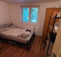 Ložnice ve 3-pokojovém bytě s kovovou postelí a podlahou s dřevěným dekorem.