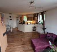 Obývací pokoj s kuchyní ve 3pokojovém bytě s podlahou s dřevěným dekorem.