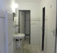 Bílá koupelna s umyvadlem, radiátorem a invalidním WC ve skladech a halách.