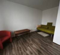 1-pokojový byt s podlahou s dřevěným dekorem, zelenou pohovkou a červeným křeslem.