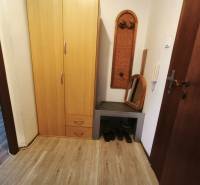 Předsíň 1-pokojového bytu s policí, zrcadlem, skříní a podlahou s dřevěným dekorem.