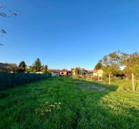 Pozemek s travnatým porostem a oplocením v Cíferu u rodinných domů.