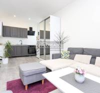 Obývací pokoj v 2-pokojovém bytě s kuchyňskou linkou a podlahou s dřevěným dekorem.