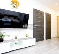 Obývací pokoj v dvoupokojovém bytě s televizí, dvěma dveřmi a rostlinami.