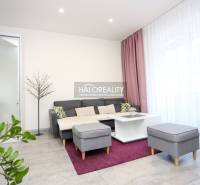 Obývací pokoj v 2-pokojovém bytě s pohovkou, konferenčním stolkem a rostlinami.