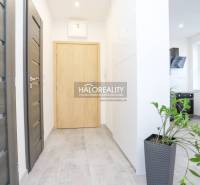 Chodba v 2-pokojovém bytě s dlažbou, dřevěnými dveřmi a rostlinou v květináči.