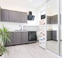 Kuchyně v 2-pokojovém bytě s bílými stěnami, šedými skříňkami a rostlinou.