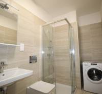 Koupelna v garsonce s umyvadlem, sprchovým koutem a pračkou.
