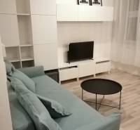 Garsonka s šedou sedačkou, televizorem, bílým nábytkem a podlahou s dřevěným dekorem.