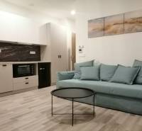 Garsonka s kuchyní, modrou pohovkou, kulatým stolkem a podlahou s dřevěným dekorem.